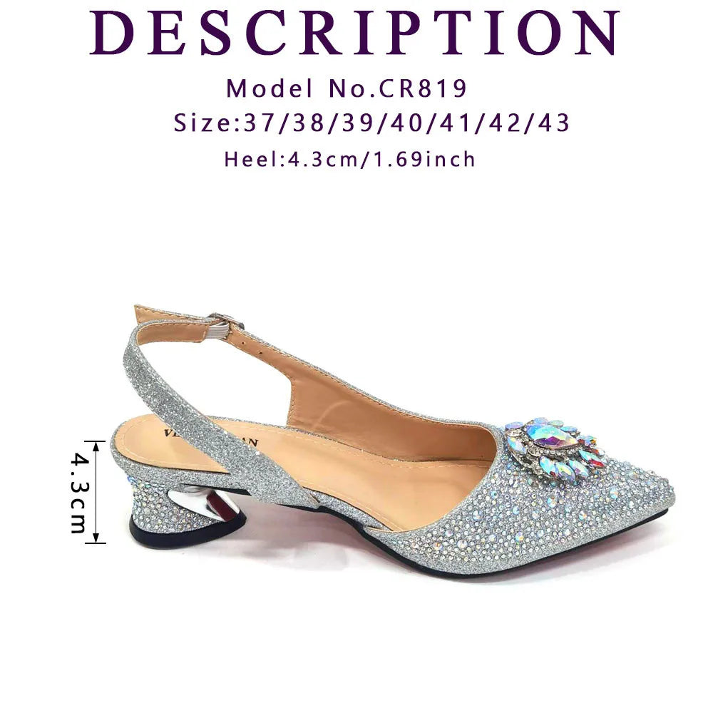 2024 Ladies High Quality Women's Pumps And Bag Italian Fashion Design Silver Mixed Color Bag For Nigeria Wedding Party