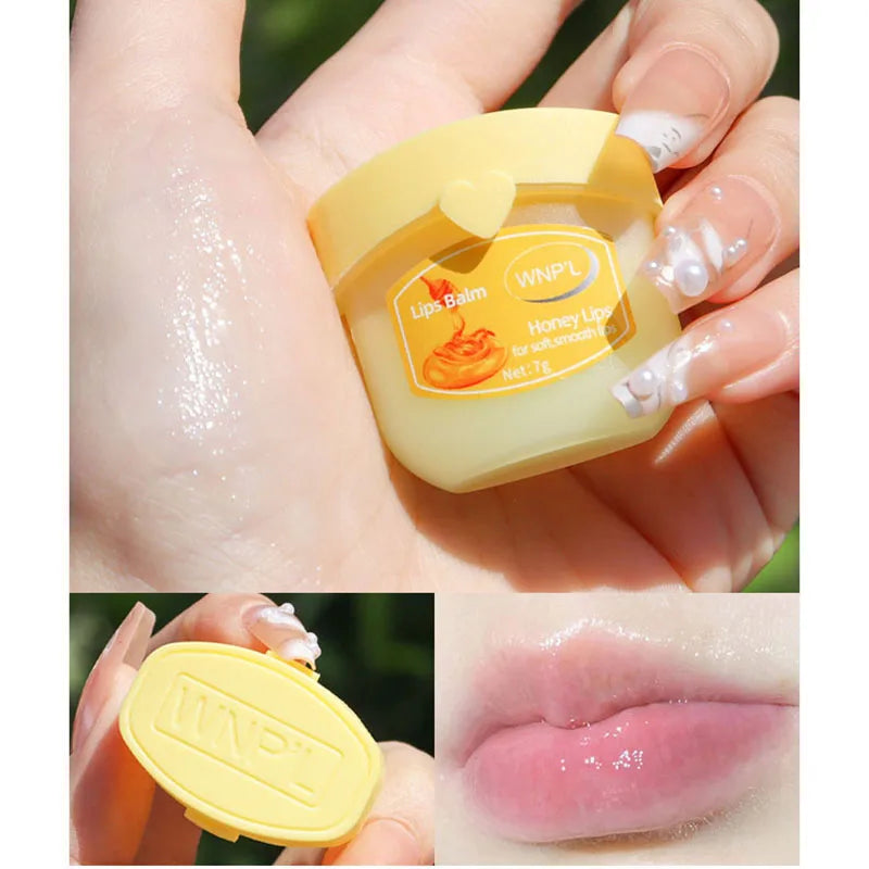 New 4/6/8pcs Moisturizing Lip Balm Sets Lipstick Makeup Natural Plant Base Moisturizer Lip Balm Anti-Cracking Lips Skin Care